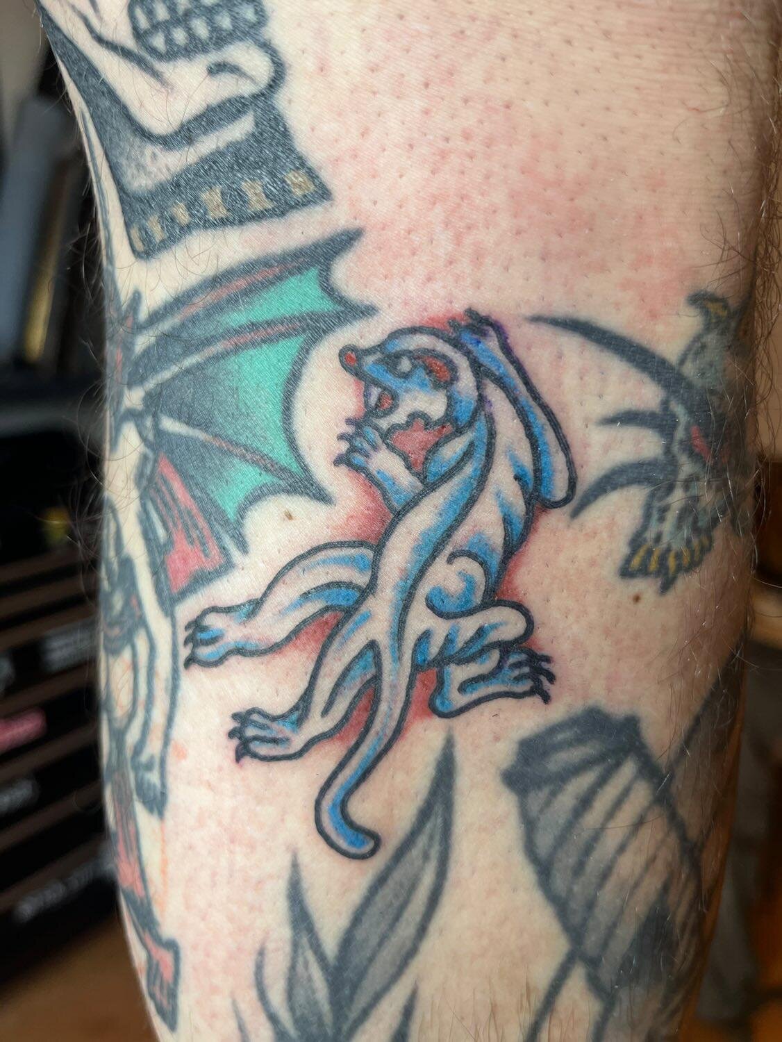 IMG 20260109 060357 982